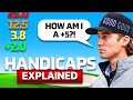 Good Good Explains Handicap Misconceptions