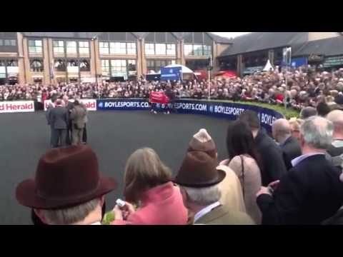 Moscow Flyer, ready to race!