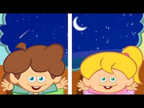 pourquoi les yeux des chats brillent la nuit