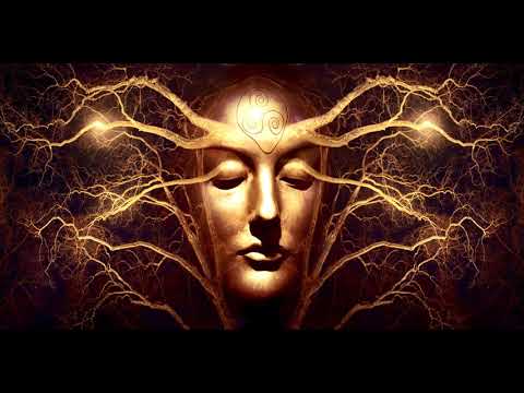 THE FLYING MARS - Vibrashapes