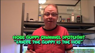 Mobb Guppy
Spotlight #FishFam #Fishtube #Mobbster