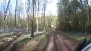 preview picture of video 'Bluebells at West Woods near Marlborough in Wiltshire'