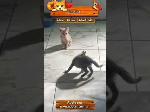 Vídeo de Cinzinha 