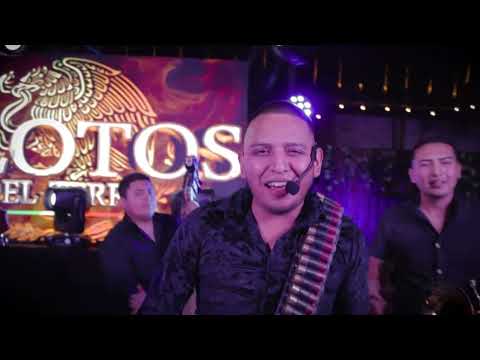 Aquí Ando En El Calorón - Pilotos Del Terre Sesión En Vivo