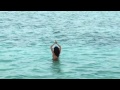 Disha Patani Hot Bikini Cleavage