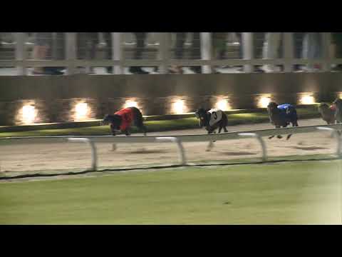 2020.06.12. 05. futam - June Trophy 480m Open