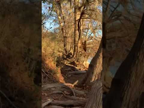 Guadalupe river