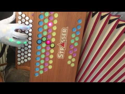 Lernvideo I Eine Herde weisser Schafe Intro + Ref I FBEsAs