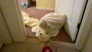 Download lagu Tod stuck in fitted sheet mp3