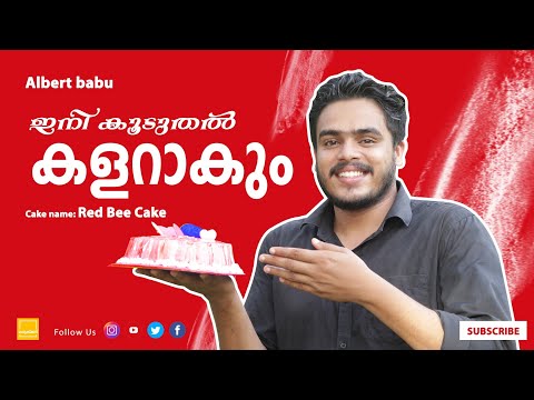 Red Bee Cake അടിപൊളി Cake || Red Bee Cake || Created by Aneeshmartin josef || Leejo thaddeus