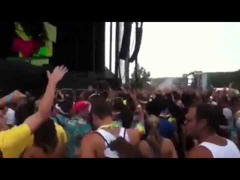 Electric zoo day 2 bingo player 2012