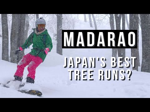 Video: Home of Japan's Best Powder Tree Runs? 🌲 Madarao Ski Resort Guide 🏂🏻