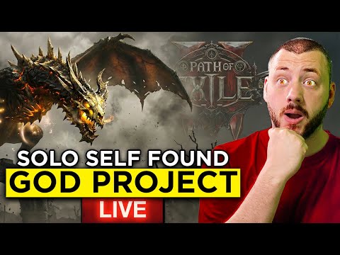 Zero to Hero Druid Challenge - POE 2 The Fate of the Vaal