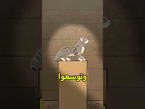 هذي كل وضعيات ذيل قطتك وايش تعني 🙂 #shortvideo