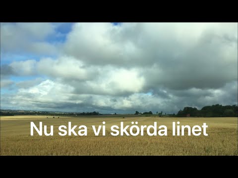 Nu ska vi skörda linet (med text) | Traditionell visa
