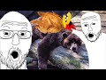 BANJO KAZOOIE DIED 100 NOT CLICKBAIT