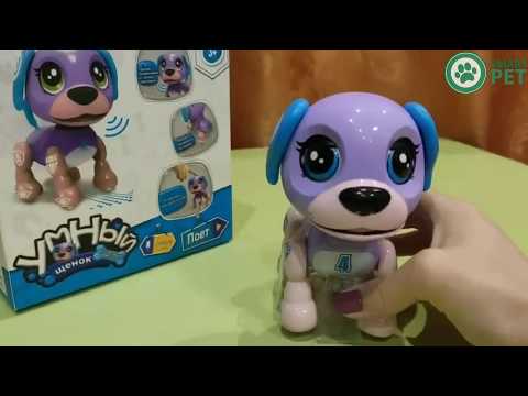 Обзор игрушки Умный Щенок, интерактивная собака!
