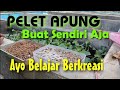 Nutrisi Alami Untuk Campuran Pakan Ikan Hias Pdf