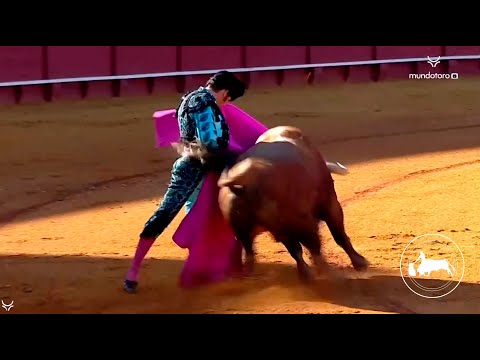 Directo Feria del Toro Olivenza