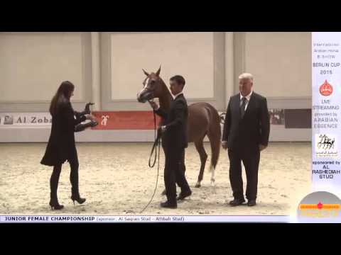 Third place Berlin Cup Werder 2015 - Junior Female Championship (Class 17) - N.17 DASHA ARABCO