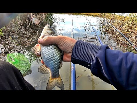 PESCUIT PE BALTA SALBATICA LA CARAS NEGRU ROSIOARA SI BIBAN LA UNDITA
