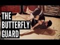 The Butterfly Guard - MMA Surge, Episode 29 