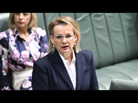 'What a mess': Coalition in 'utter chaos' as Nationals defy hate speech bill vote