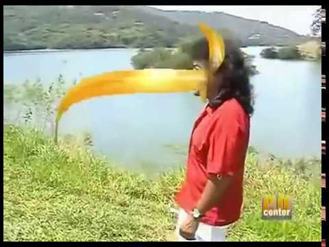 Zezinho Barros  Livro Aberto