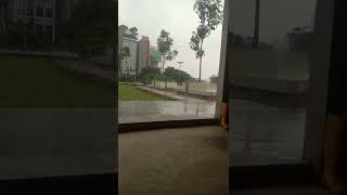 Download lagu #short#taman rumputnya seger seger# mp3