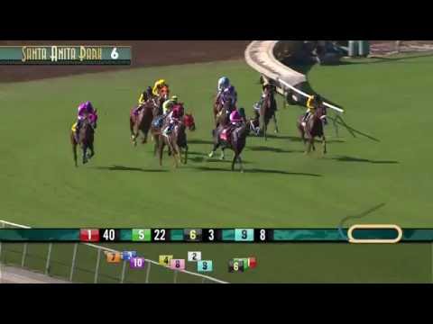 John Henry Turf Championship (Gr. II) - Sunday, October 2 2016 (Cal-bred Winner)