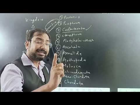 NEET Mentor Classes Bhopal Video 1