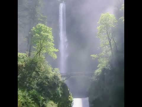 [FREE] dark ambient x cloud rap type beat  - "you too"