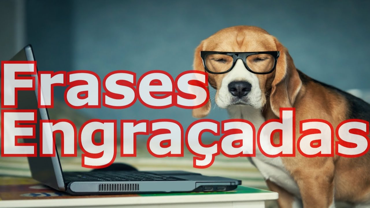 Watch Now Belas Frases Engraçadas Belas Frases Engraçadas