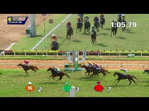 ADJUSTMENT: THE FEBRUARY STAKES(116)