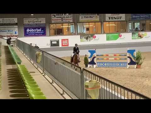 Jabulani in der Springprüfung M* in Luhmühlen