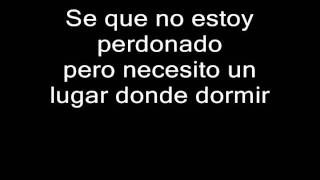 This night black lab sub esp