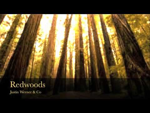 Redwoods Justin Werner & Co