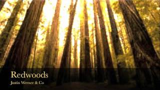 Redwoods Justin Werner & Co