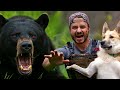 I Hunted Down The First Bear Of Spring