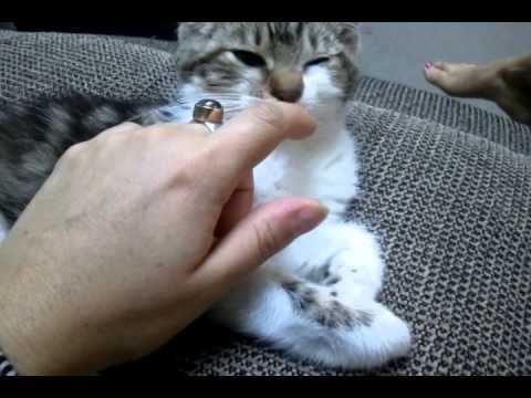 Ryder Mokiki is sick for the first time