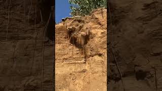 Download lagu SEMOGA TIDAK ADA YANG TERLUKA😥 mp3