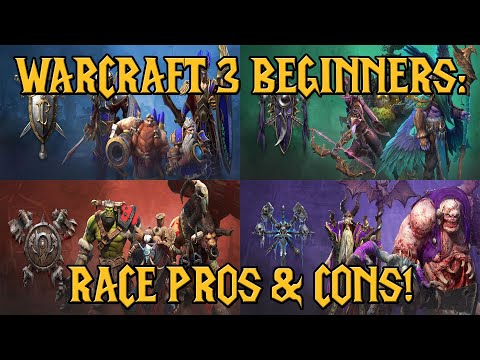 Warcraft 3 Beginners: All Races PROS and CONS!