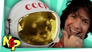 Puppies in Space Music Video