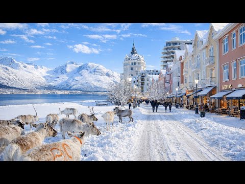 Life in the Arctic ❄️ Tromsø, Norway Walking Tour | Polar Day 4K HDR