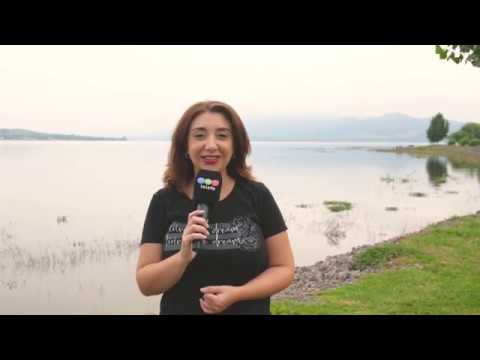 Efemérides del folclore (día de la mujer)- Fiesta de la Aceituna (Olivares de San Nicolas)