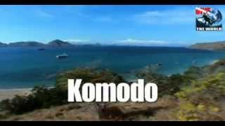 preview picture of video 'Komodo diving video with manta rays, sharks and the beautiful reefs of Komodo National Park'