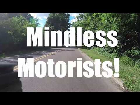 Mindless Motorists #18