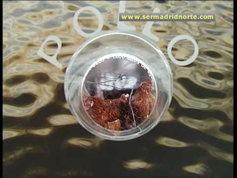 `Los colores del agua´, nueva exposición del Ayuntamiento de Alcobendas