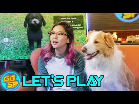 Little Friends: Dogs & Cats | Let's Play