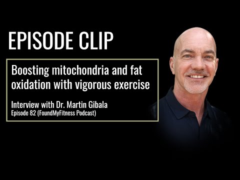The effect of vigorous exercise on fat oxidation and mitochondria | Dr. Martin Gibala